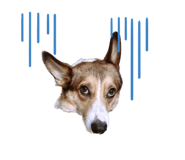 552882664