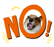 552882673