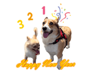 552882684