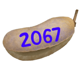 552895726