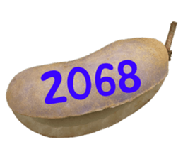 552895727