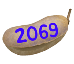552895728