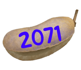 552895730