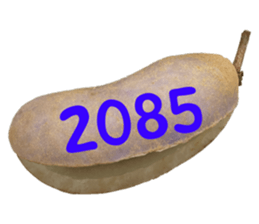 552895744