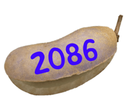 552895745