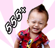 55290486