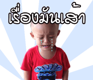 55290488