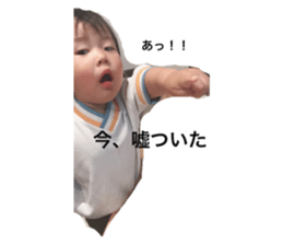 55291080