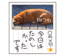 552947041