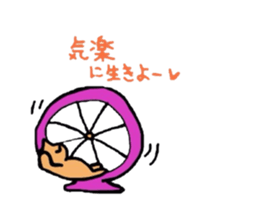 5529881