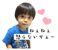 553024333