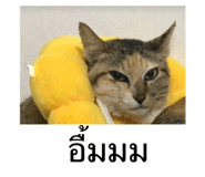 553067378