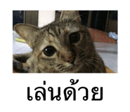 553067379