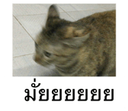 553067383