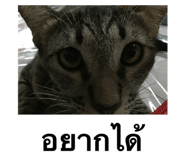 553067389