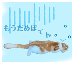 553093330