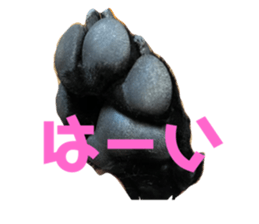 553123478