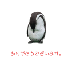 553123970