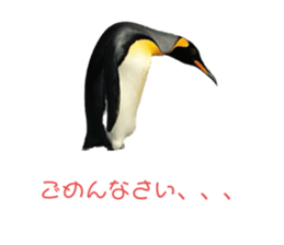 553123973