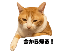 553128494
