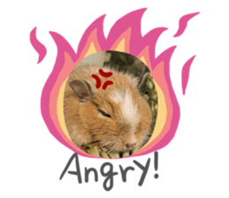 553133238
