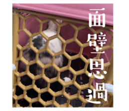 553143790