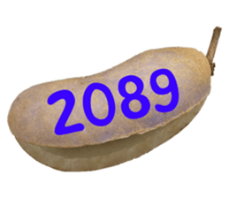 553151559