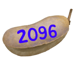 553151566