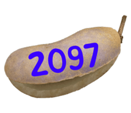 553151567