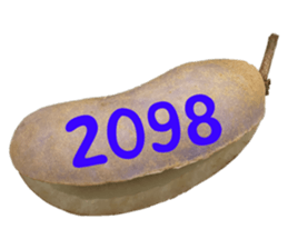553151568