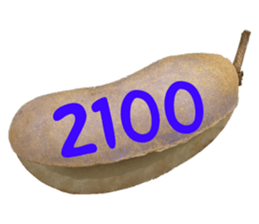553151570