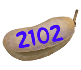 553151572