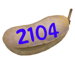 553151574