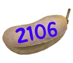 553151576