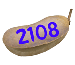 553151578
