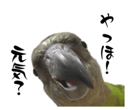553219095