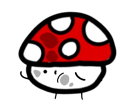 553275251