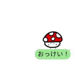 553275252