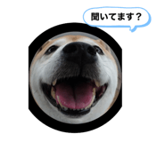 553277558