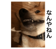 553277559