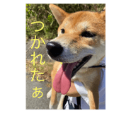553277560