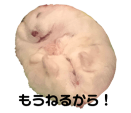 553326039