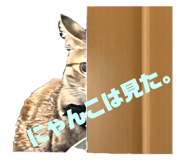 553330877