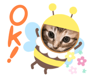 553330880