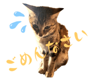 553330883