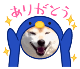 553333266