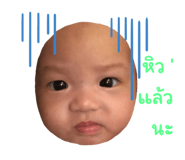 553354239