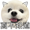 553355182