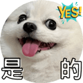 553355183