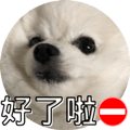 553355184